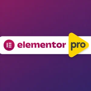 Elementor Pro